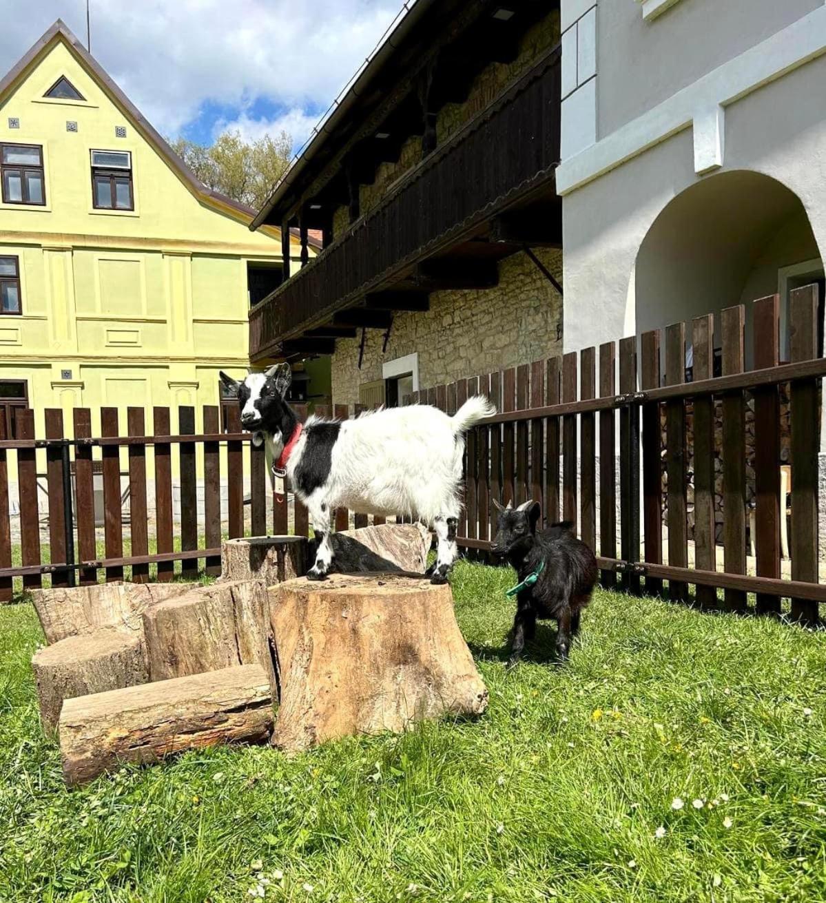 Pivovar Mlyn Štětí Exteriör bild